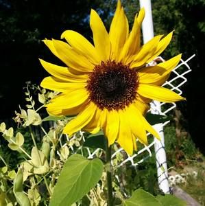 Meet your Posher, Francesca